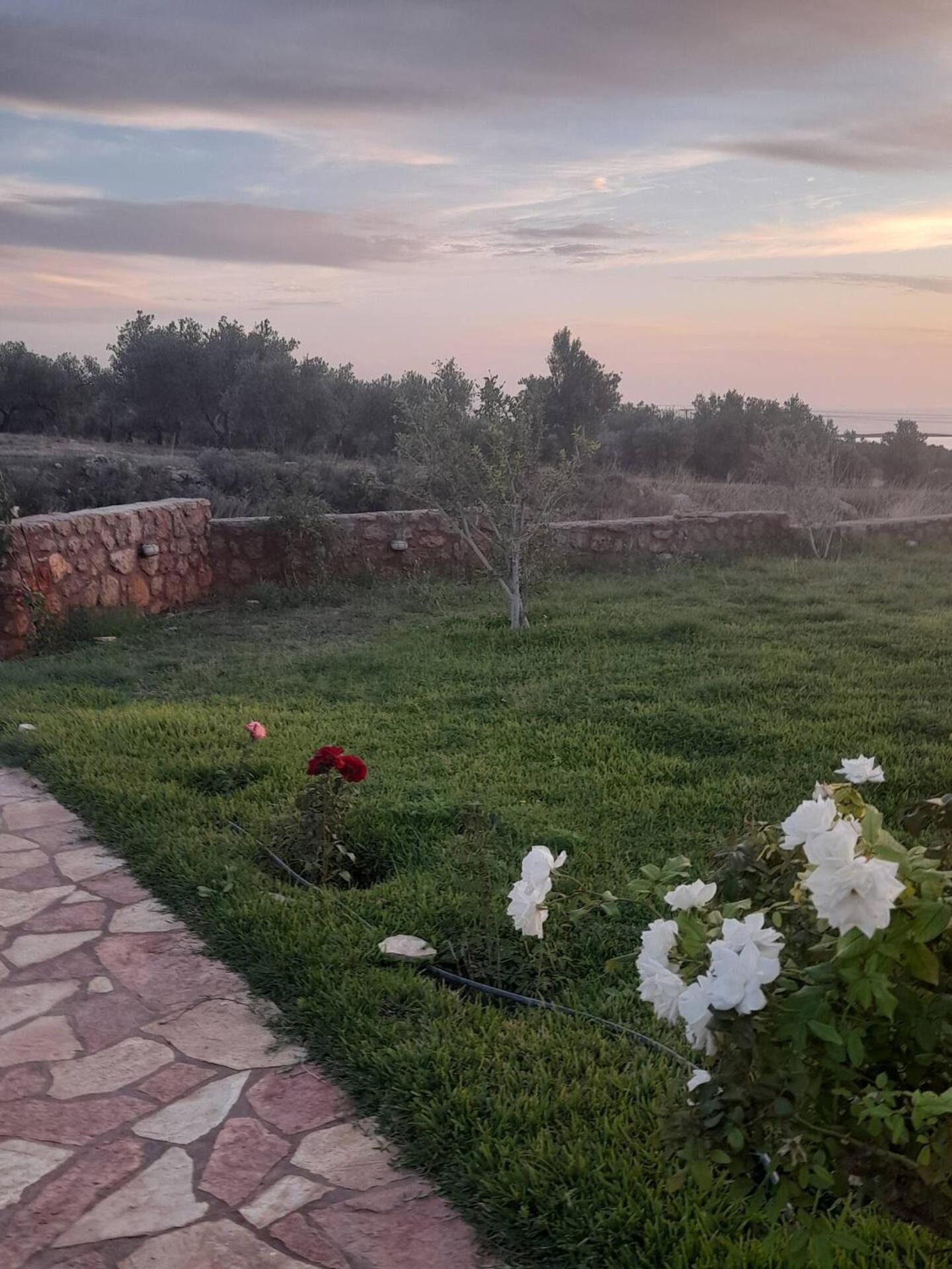 “Villa Othon-Leni” Paralia Demonias Luaran gambar